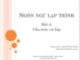 Bài giảng Ngôn ngữ lập trình: Bài 3 - Lê Nguyễn Tuấn Thành