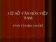 Bài giảng Cơ sở văn hóa Việt Nam - Vùng văn hóa Nam Bộ